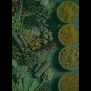 masala_original